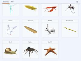 Animalia Educalabs ảnh chụp màn hình 1