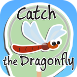 Catch the dragonfly