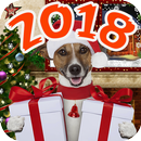 New year puzzles + Time to NY APK