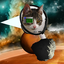 Space War Cats DUMB ASTEROIDS APK