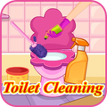 toilet cleaning
