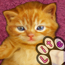 Kitten Calculator APK