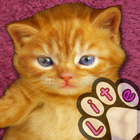 Kitten Calculator ikon