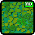 Lucky Clover