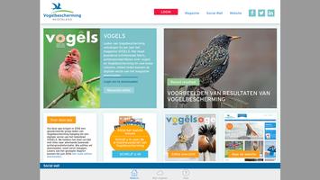 پوستر Vogelbescherming