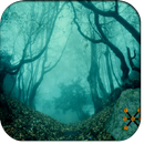 APK Spooky Forest Escape