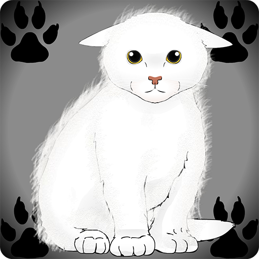 Бедный маленький котенок