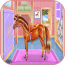 Horse care girls games APK