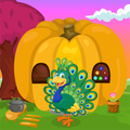 Cute Peacock Rescue Kavi Game-385