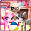 Kitty pet care salon