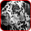 Picross Album - Nonogram APK