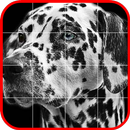 Picross Album - Nonogram APK