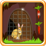 Rabbit Escape from Cage