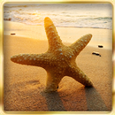 Ocean Beach : Hidden Object APK