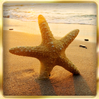 Ocean Beach : Hidden Object أيقونة