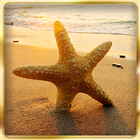 Ocean Beach : Hidden Object ikona