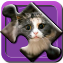 Cute Cats Puzzle APK