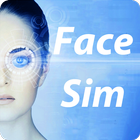 Gesichts Simulation - FaceSim Zeichen