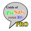 Complete Guide of PicSays Pro Tutorial PhotoEditor