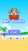 Mr. Puzzle Poster