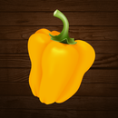 Learning about vegetables APK