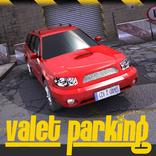 Valet Parking