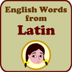 Spelling Doll Latin English