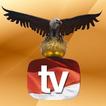 CKTV