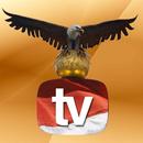 CKTV APK
