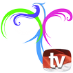 Wonderful TV