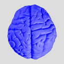 Neural Network APK