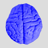 Neural Network icon
