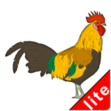 Animal Sound Matrix Lite icon