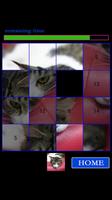 CAT15Puzzle free स्क्रीनशॉट 2