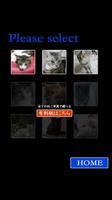 ねこねこ15パズルfree capture d'écran 1