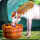 Princess Carriage Car Wash APK