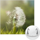 Dandelion (PLB exercise) icône