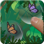 Butterfly Mania - Pop Bubbles