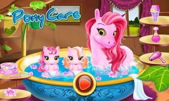 Pony Care poster