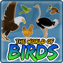APK Bird Quiz