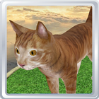 Virtual Pet 3D -  Cat icône