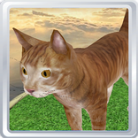 Virtual Pet 3D -  Cat