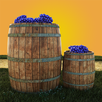 Vineyard Escape APK