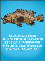 Les poissons du Lagon постер