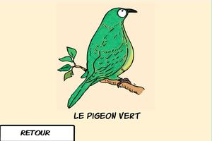 Les oiseaux du Caillou Affiche