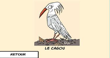 Les oiseaux du Caillou captura de pantalla 2