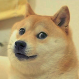 Doge Spin