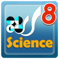 DNA Structure