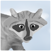 Little Raccoon