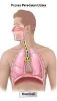 Belajar Pernapasan Manusia capture d'écran 2